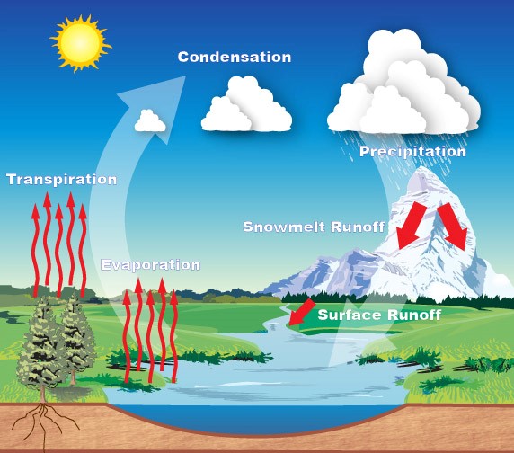 Diagram of Water Cycle