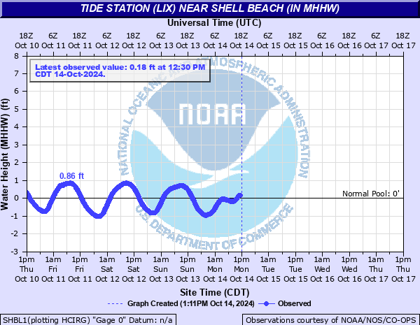 Ultimate Guide to Shell Beach Tide Chart: Your Adventure Awaits!